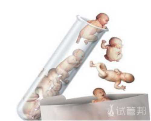 泰国代孕公司,泰国试管婴儿的优缺点