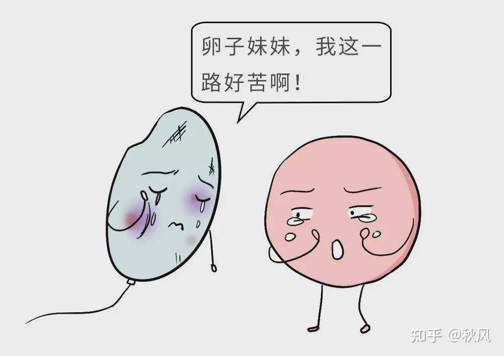 广州供卵试管婴儿医院,广州做供卵不用排队的私立试管婴儿医院哪家好？_我是