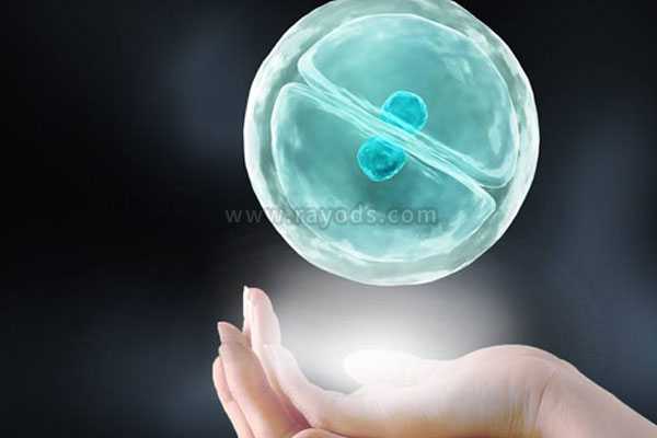 泰国专业代孕成功率,做泰国试管婴儿移植怎样的胚胎成功率更高泰国试管婴儿