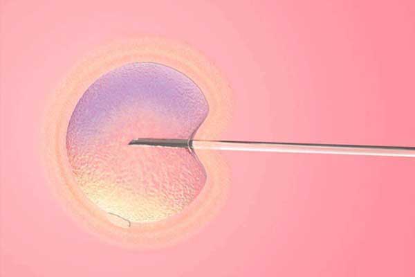 40岁卵巢早衰怎么恢复&国内那里有代生&汕头试管胚胎移植前要准备什么？6点试